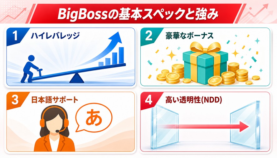 BigBoss 日本語徹底解説